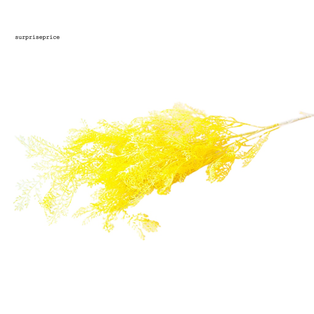 1 Cây Cỏ Nhân Tạo Dùng Cho Chụp Ảnh Tiệc Cưới