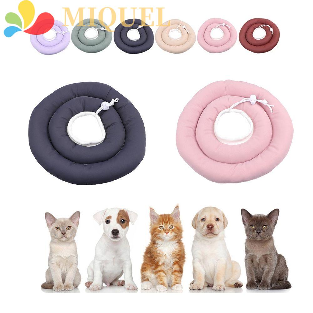 Vòng Đeo Cổ Bảo Vệ Chống Cắn Có Thể Điều Chỉnh Cho Thú Cưng