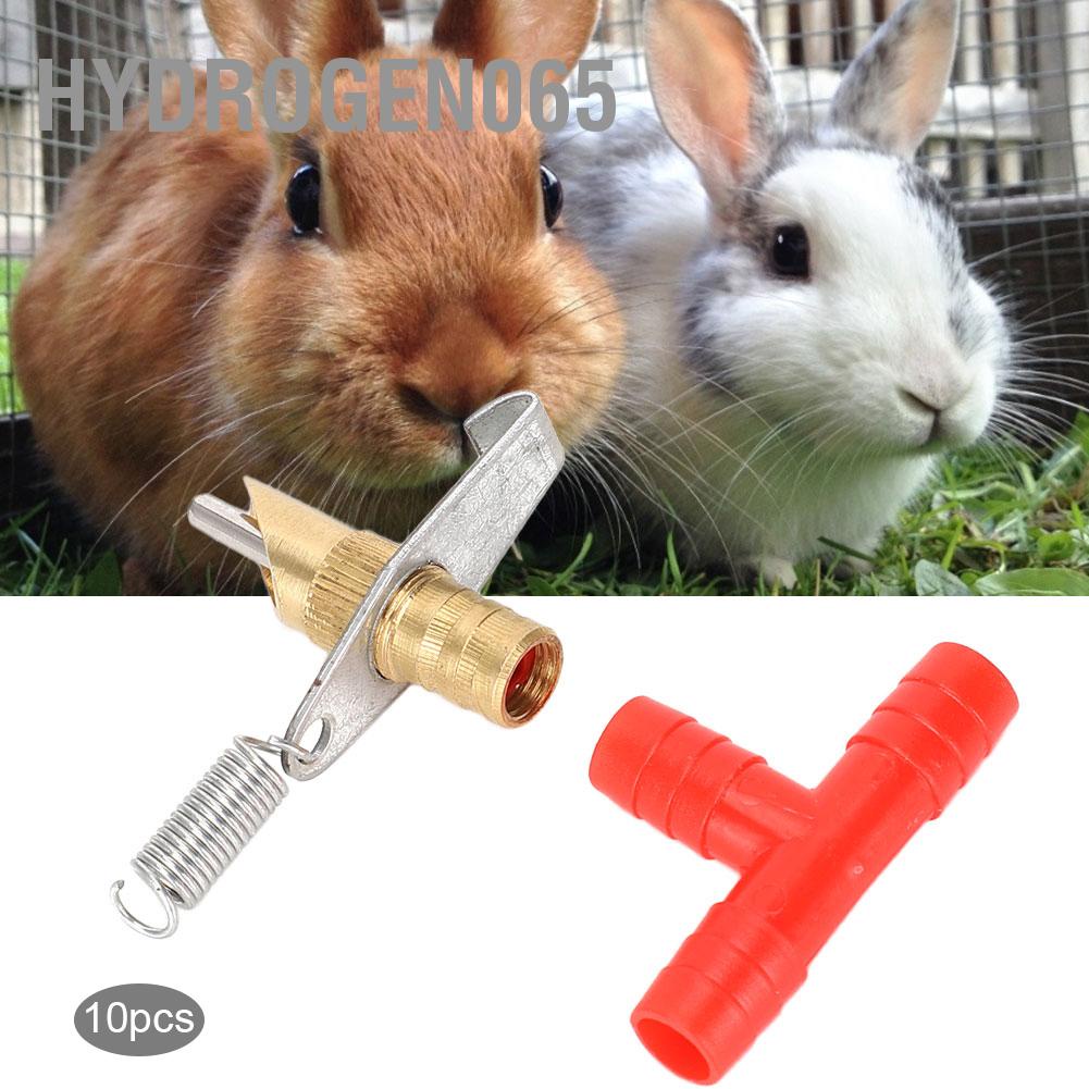 Hydrogen065 10 CÁI Vòi uống nước hình thỏ bằng đồng nguyên chất với Dụng cụ chống ăn mòn núm vú tự động