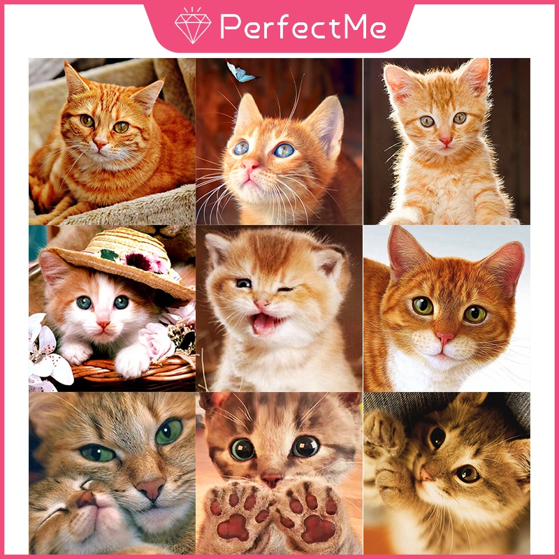 Bộ Tranh Đính Đá 5D Tự Làm 30x30cm Hình Mèo Dễ Thương