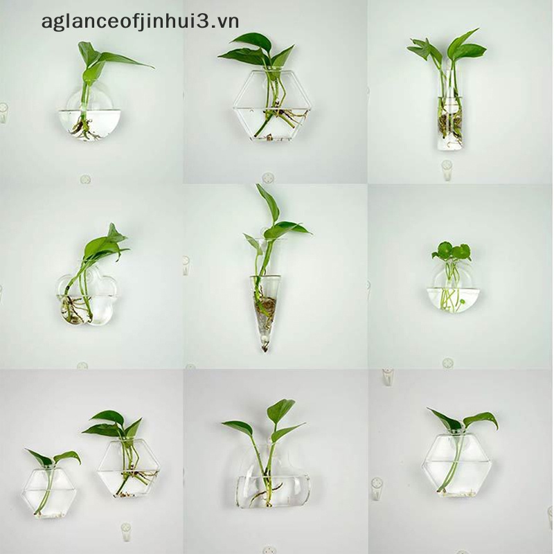 ~ Afhvn ~ Hot!Bình Hoa Thủy Tinh Treo Trần Hồ Cạn Cho Khu Vườn Thủy Tinh.