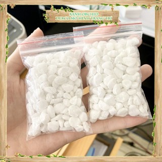 Sỏi trắng, sỏi vàng , rải mặt trang trí sen đá, sân vườn/ chậu cây, dyi, terrarium