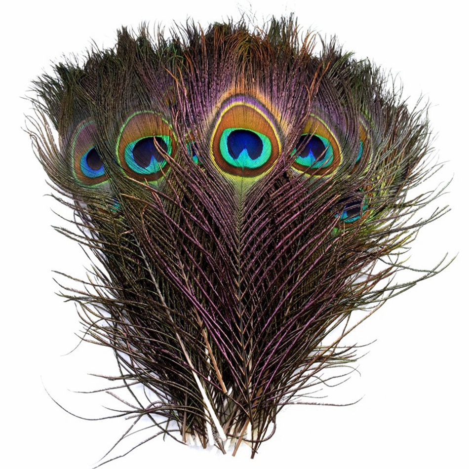 Bộ 20 Lông Công Tự Nhiên Dùng Trang Trí DIY