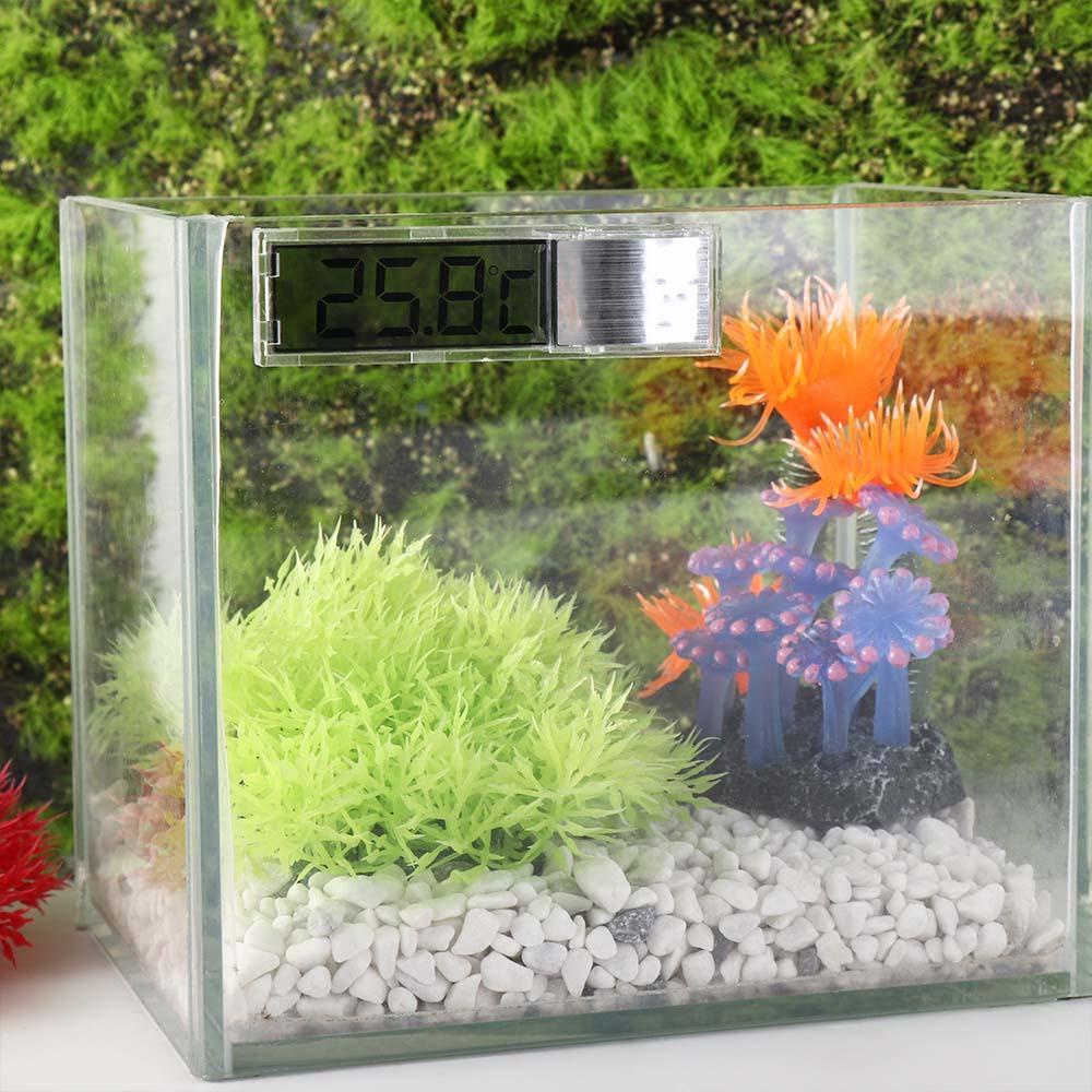 AUGUSTINA Nhiệt Kế Điện Tử Màn Hình LCD Cho Bể Cá