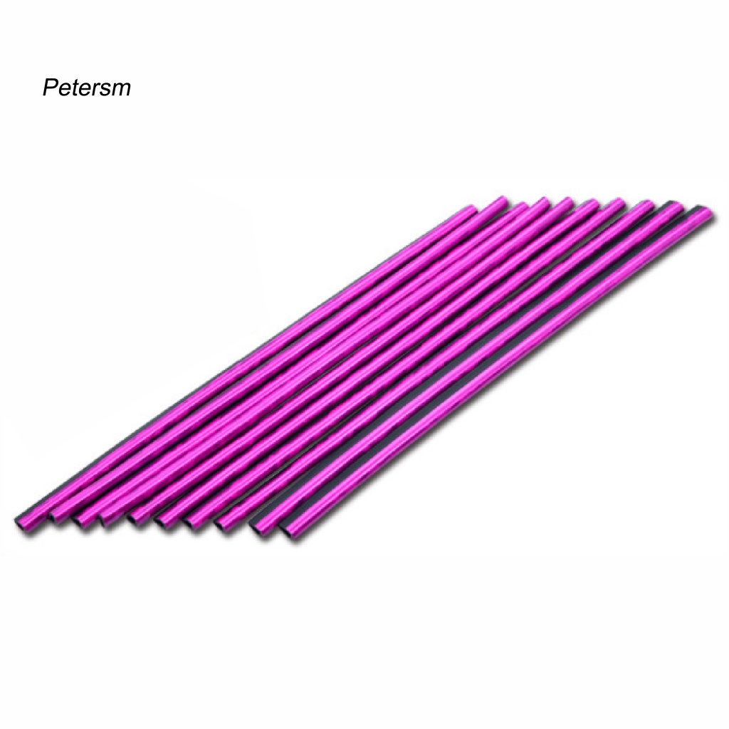 Set 10 Dải Nhựa PP Trang Trí Lỗ Thông Gió Xe Hơi