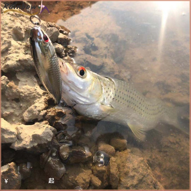 Bộ Mồi Câu Cá Nổi Cứng Kèm Móc Câu 5.9cm / 6.9g Dành Cho Nước Mặn