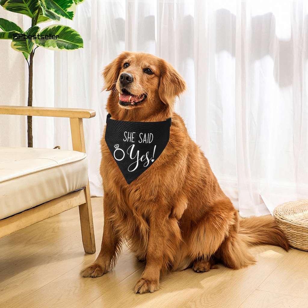 Vòng Cổ Bằng Vải Canvas Chống Dơ Có Thể Giặt Được Cho Thú Cưng