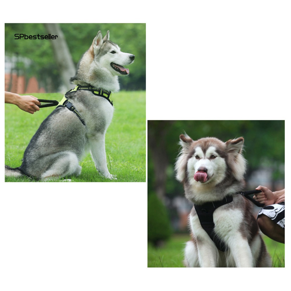 Dây Dắt Thú Cưng Đi Dạo Có Đệm Phản Quang Thoáng Khí Điều Chỉnh Được