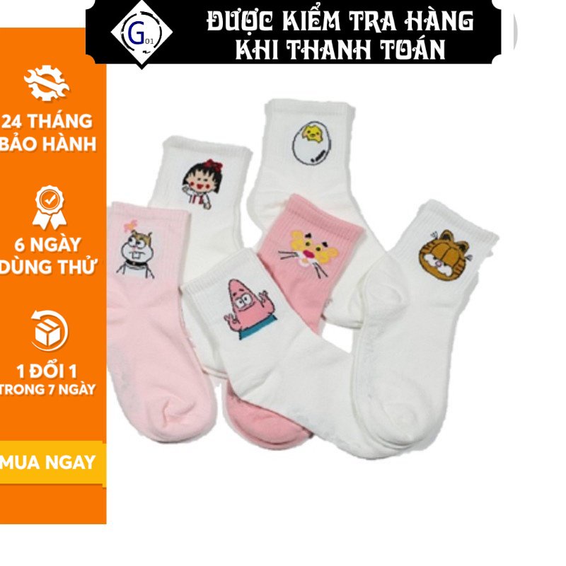 Combo 5 vớ nữ G01 cao cấp, chất lượng, nhiều mẫu mã phong cách Hàn Quốc dễ thương, xinh xắn, giá rẻ