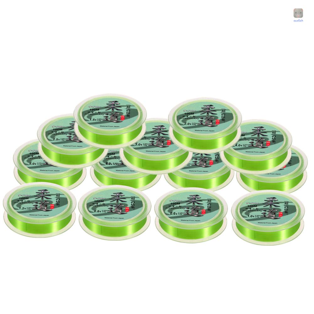 Cuộn Dây Câu Cá Dài 100m 0.6M 0.6M Chất Lượng Cao#-8# Cuộn Dây Câu Cá Chất Liệu Fluorocarbon Nylon