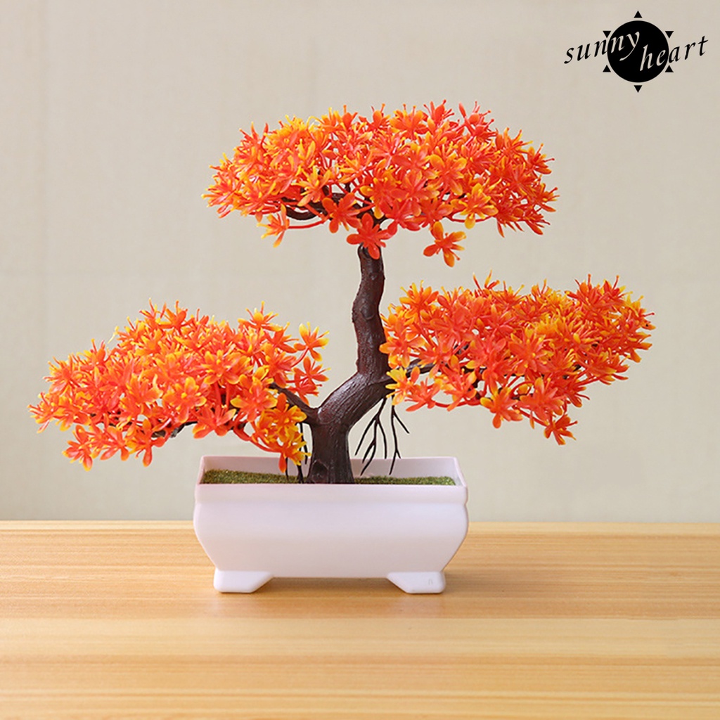 Khuôn Làm Chậu Cây Mini Trọng Lượng Nhẹ Trang Trí Cửa Hàng