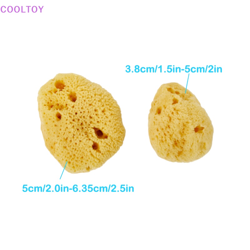 Cooltoy 1 Miếng Bọt Biển Tắm Toàn Thân Bằng Xơ Mướp Tự Nhiên Mới Dùng Trong Spa