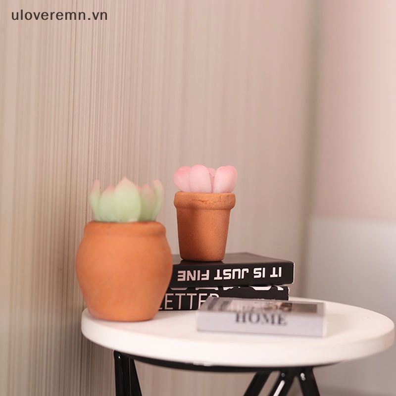 Mô Hình Chậu Cây Mọng Nước Trang Trí Nhà Búp Bê Tỉ Lệ 1: 12