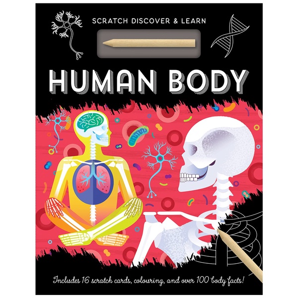Human Body (Scratch Discover & Learn)