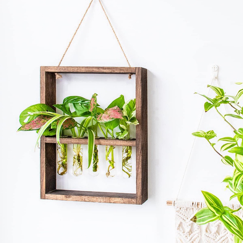 Khung Gỗ Treo Tường Mặt Kính Hình Ống Nghiệm Hoa Trang Trí Nhà Cửa / Sân Vườn / Tiệc Cưới