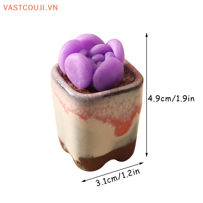 Mô Hình Chậu Cây Sen Đá Trang Trí Nhà Búp Bê Tỉ Lệ 1: 6