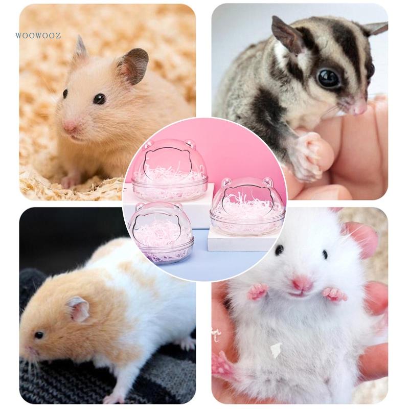 Hộp Đựng Cát Vệ Sinh Cho Chuột Hamster Bằng Nhựa Trong Suốt Tiện Dụng