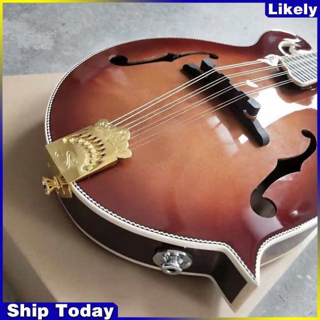 Phụ Kiện Đuôi Ngựa Đàn Thay Thế Họa Tiết Lông Vũ Cho Đàn Guitar 8 Dây