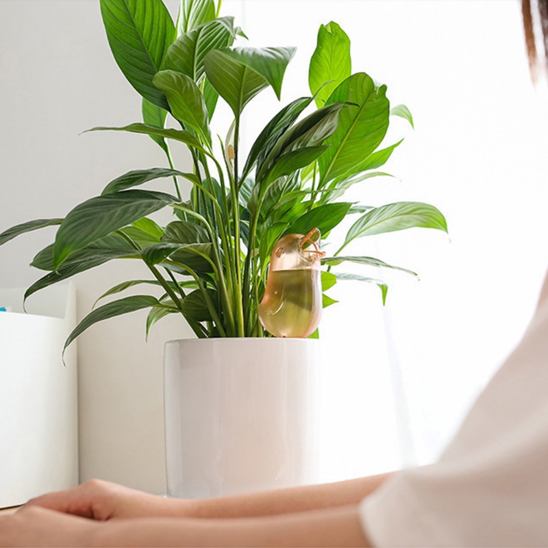 Thiết Bị Tưới Nước Tự Động Trong Suốt Hình Chú Chim / Đinh Cắm Cho Chậu Hoa / Sân Vườn