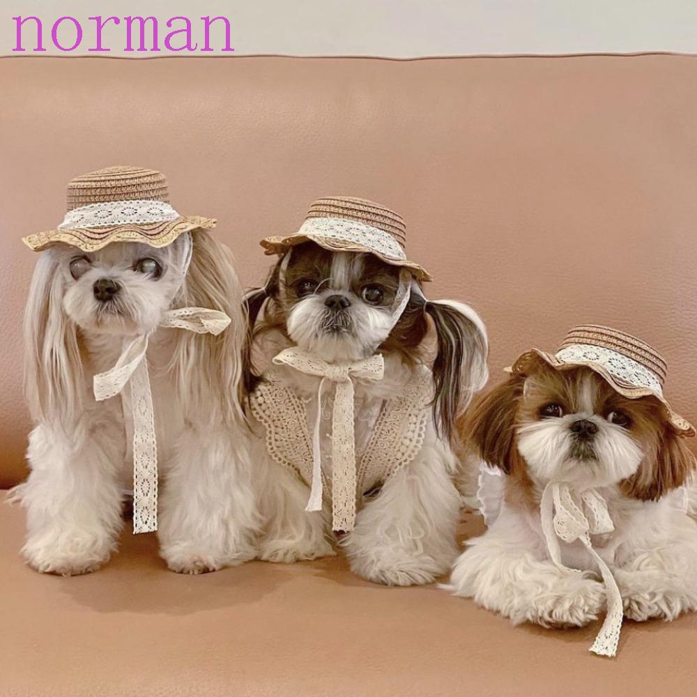 Mũ Rơm Đội Đầu Phong Cách Đồng Quê Mùa Xuân Hè Cho Cún Cưng Chụp Ảnh