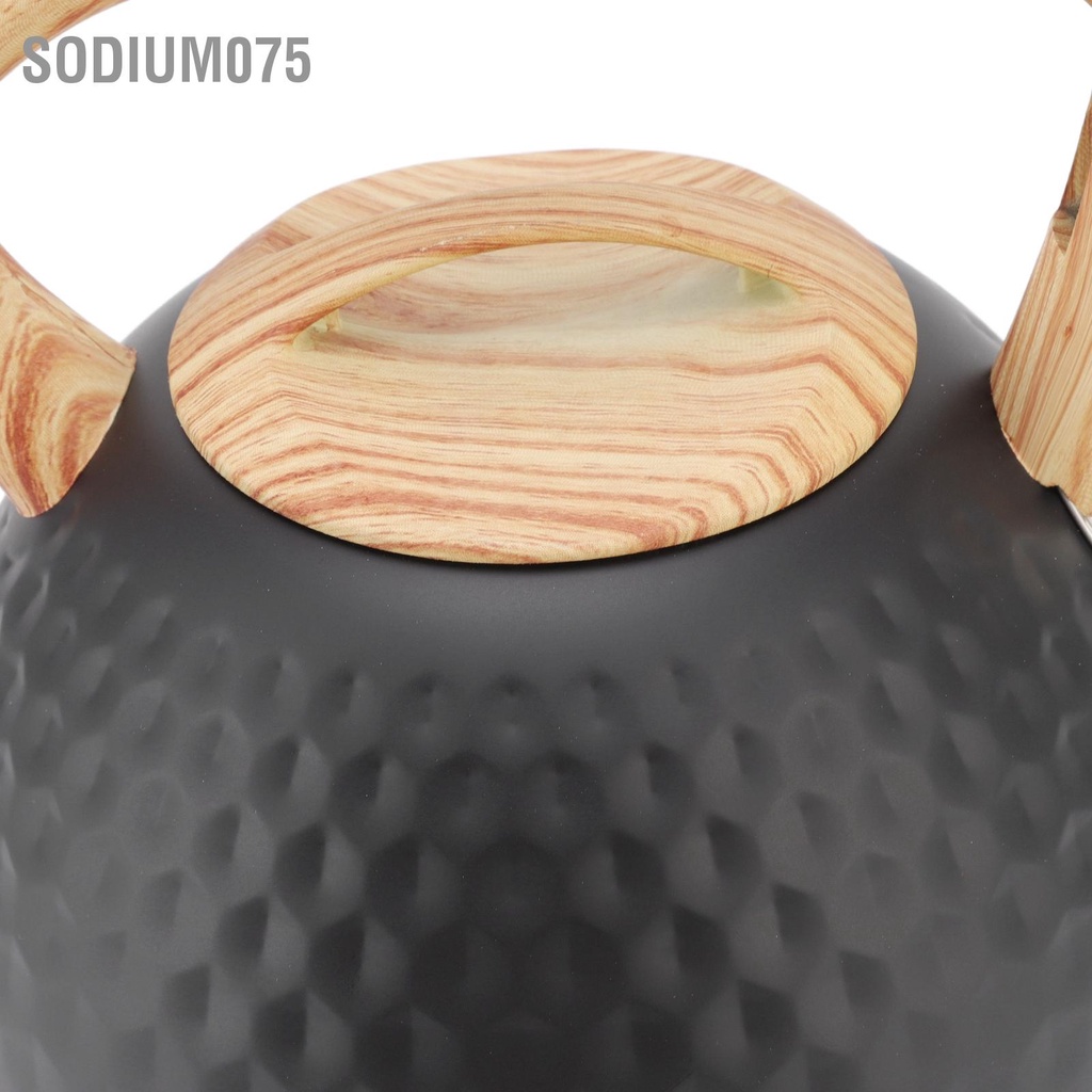 Sodium075 3L Huýt sáo Trà Ấm Siêu Tốc Thép Không Gỉ 304 Bếp Cầm Trang Trại Cho Nhà Gia Đình