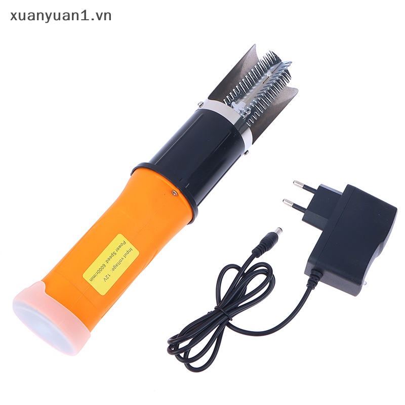 Dụng Cụ Đánh Vảy Cá Bằng Điện Tiện Dụng