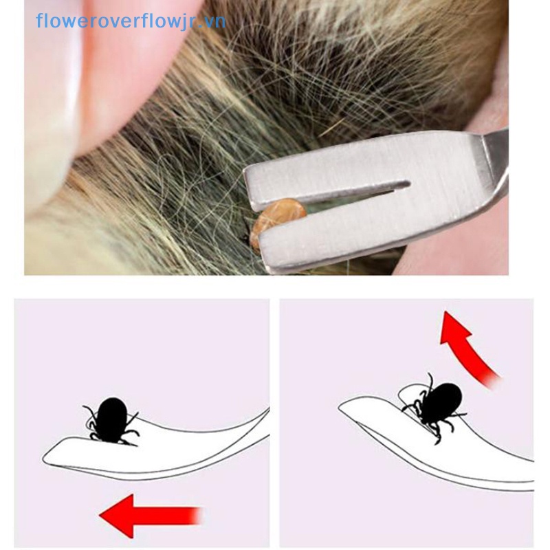 Nhíp Nhổ Lông Mèo Chuyên Nghiệp Bằng Thép Không Gỉ 2 Trong 1