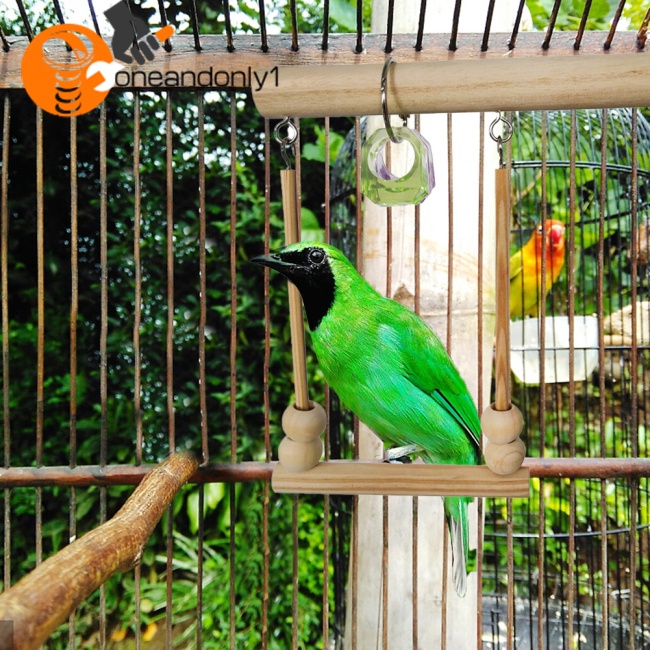 Đồ Chơi Thanh Đứng Bằng Gỗ Kèm Hạt Dành Cho Chim Vẹt