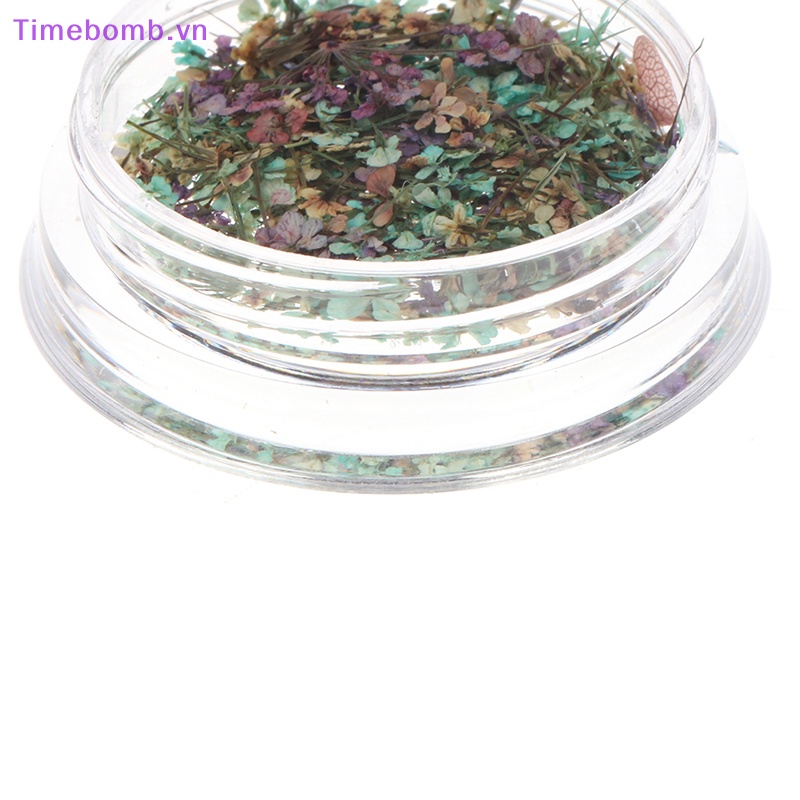 # Túi Đeo Chéo Thời Trang Hàn Cho Nữ # Hoa Khô 3D Nhiều Màu Sắc Đính Móng Nghệ Thuật