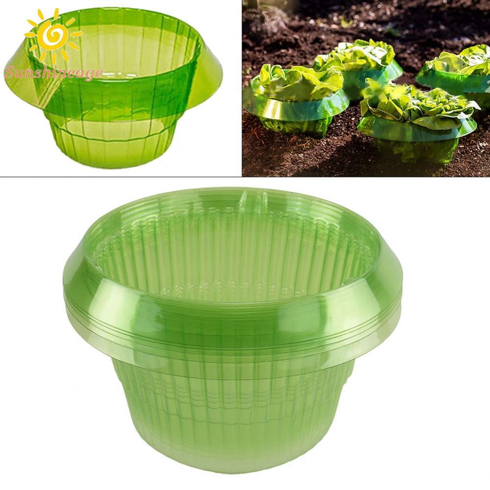 Bộ 1 / 6 Vòng Ốc Sên Bảo Vệ An Toàn Cho Sức Khỏe Tái Sử Dụng Được (16 Cái)