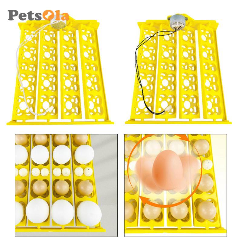 Khay Đựng Trứng Gà / Ngỗng Koolsoo21 Tiện Dụng