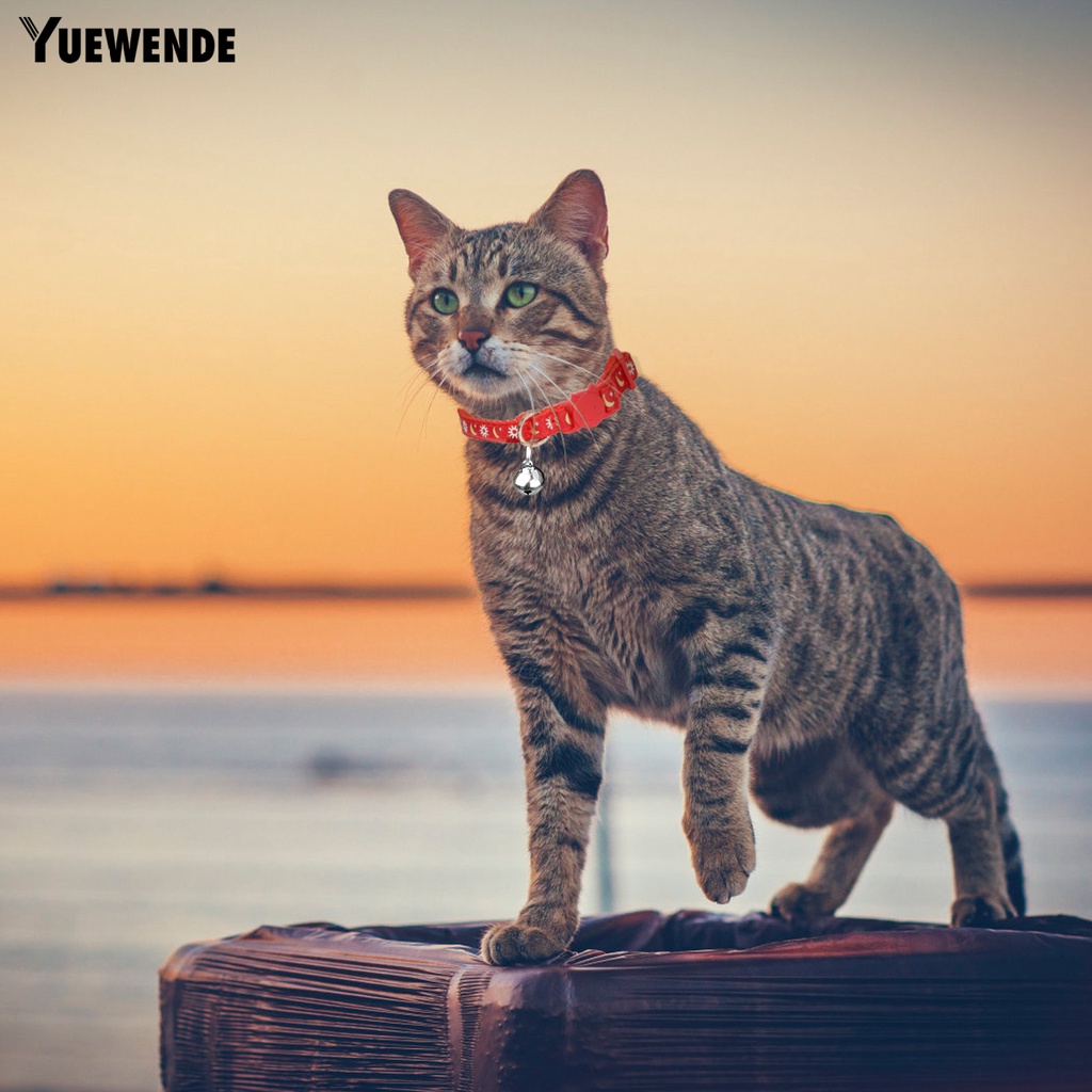 Bộ 5 Vòng Cổ Họa Tiết Trăng Sao Có Thể Điều Chỉnh Cho Mèo Cưng