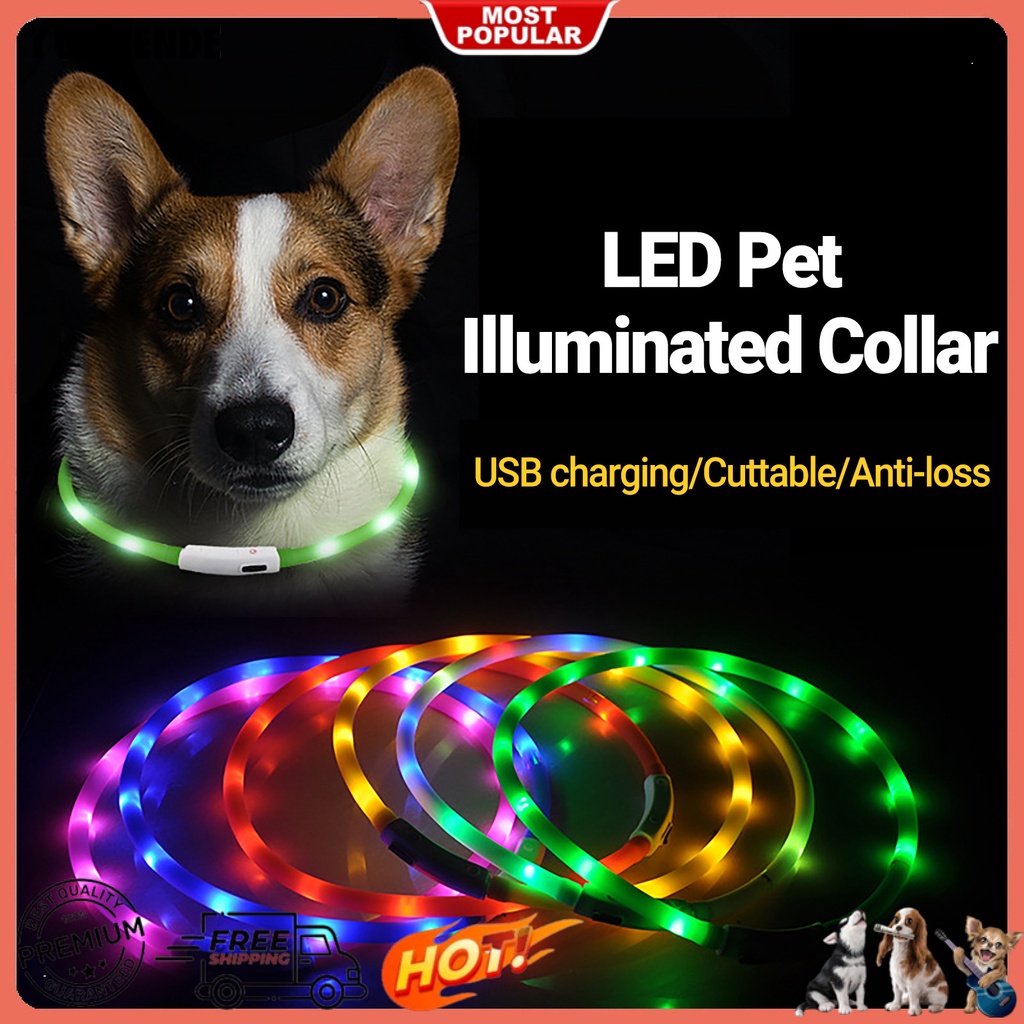Vòng Cổ Silicone Phát Quang Chống Lạc Cho Thú Cưng