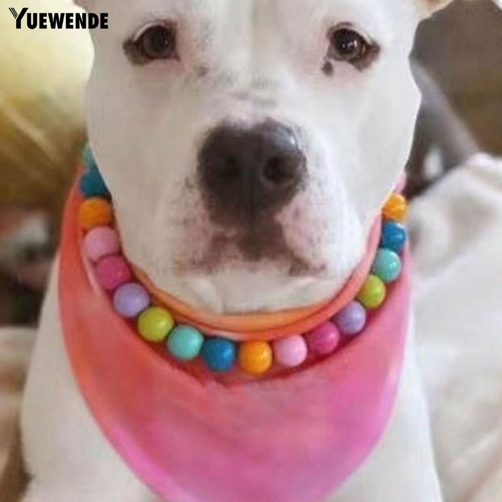 Vòng Cổ Ngọc Trai Giả Nhiều Màu Thời Trang Cho Thú Cưng Chụp Ảnh