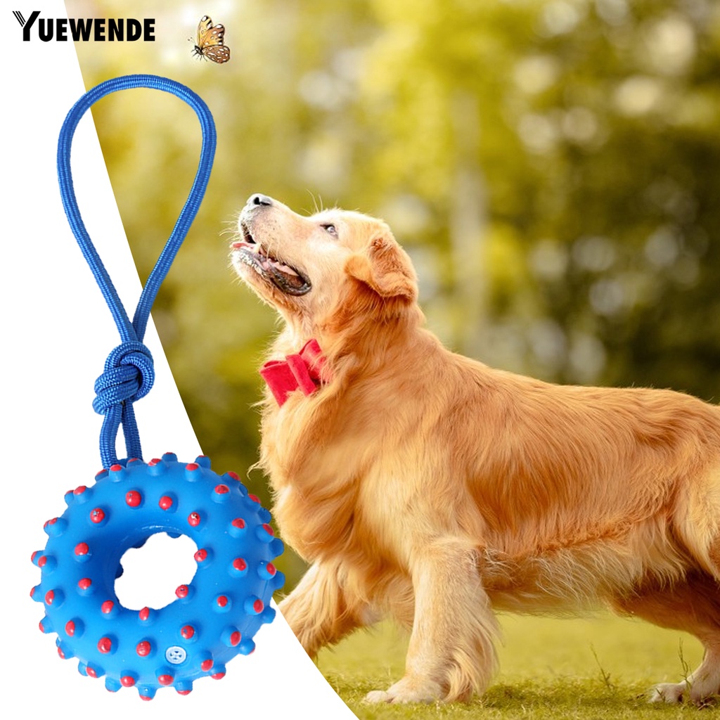 Đồ Chơi Huấn Luyện Thú Cưng Chống Trầy Xước Họa Tiết Hoạt Hình Có Âm Thanh Dễ Thương