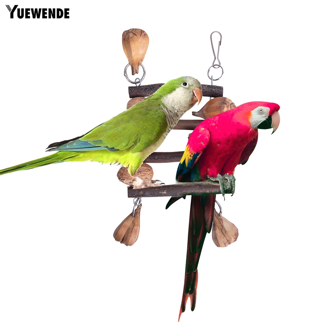 Đồ Chơi Tháo Lắp Linh Hoạt Chống Trầy Xước An Toàn Cho Vẹt Macaw