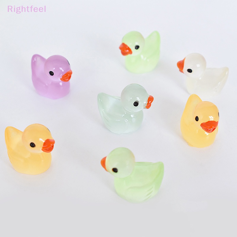Set 5 Chú Vịt Dạ Quang Mini Trang Trí Chậu Cây Cảnh DIY Mới