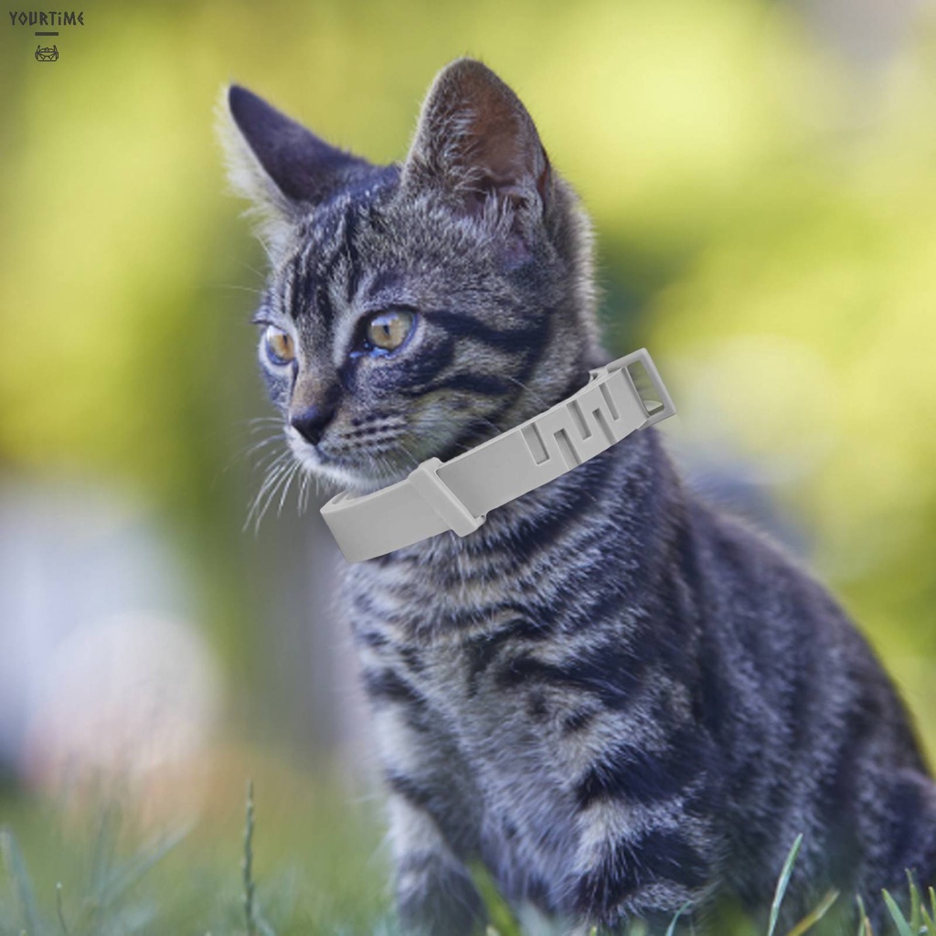 Vòng Cổ BằNg Silicone Cho Thú Cưng