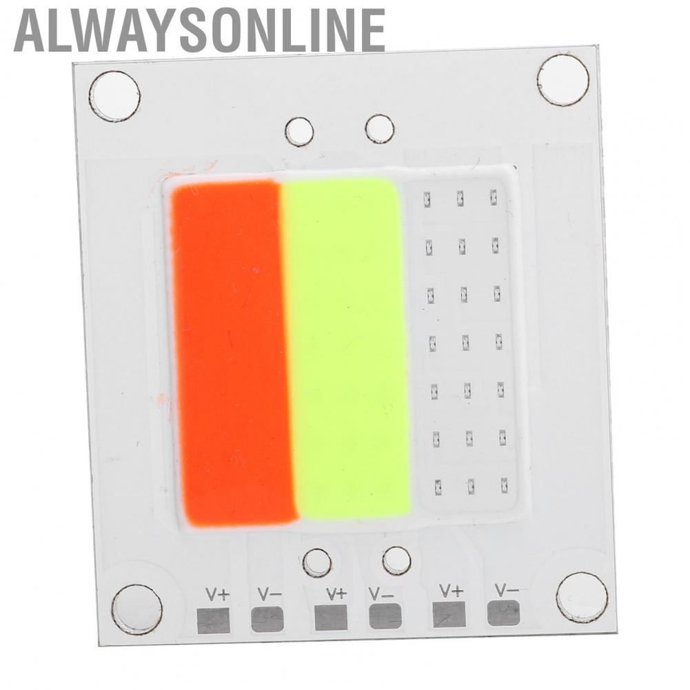Alwaysonline COB  Light Board Panel 40X40mm 50W Integrated Source High Power