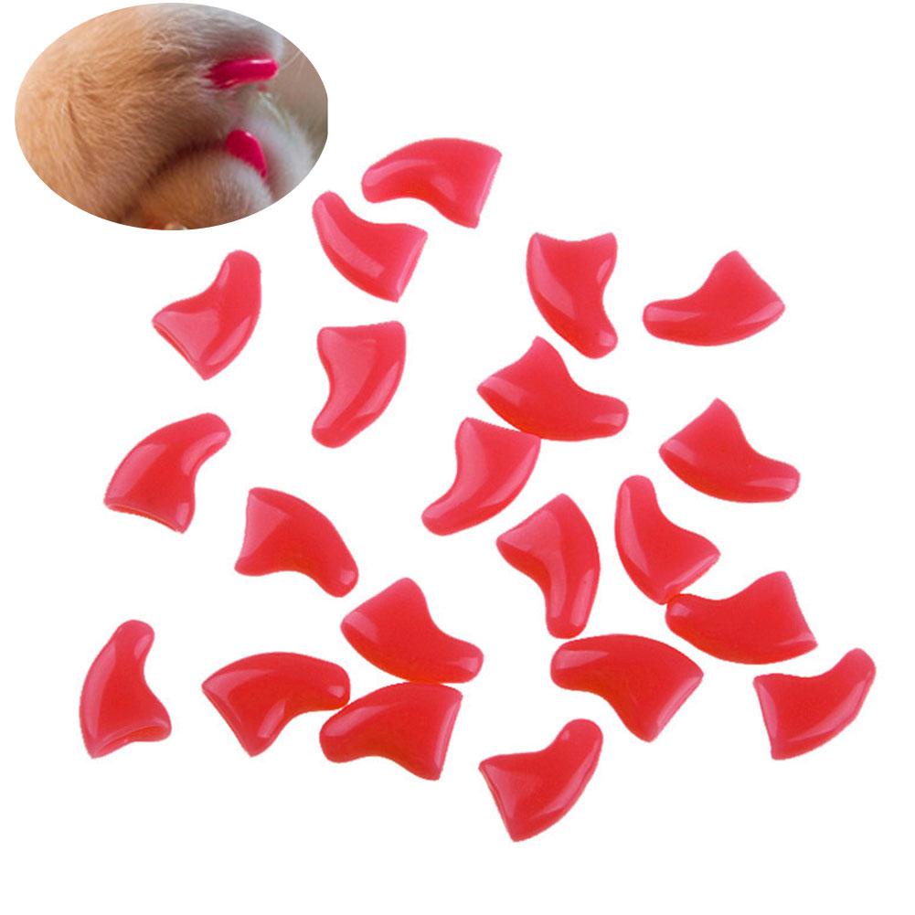 Móng Chống Cào Móng Che Phủ Móng Chó Mèo O9G1