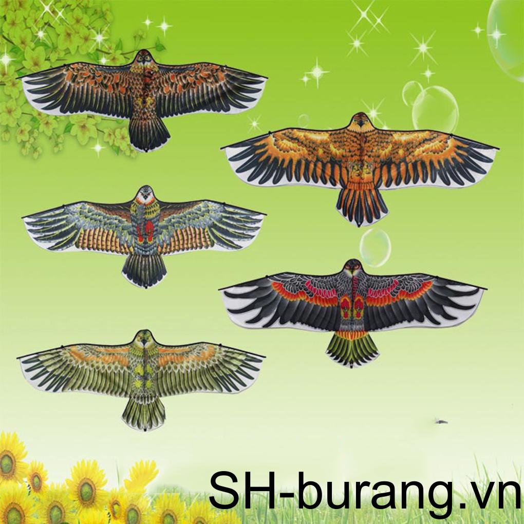 Diều Hình Chim Đại Bàng Cỡ Lớn 1M 1M Độc Đáo Vui Nhộn