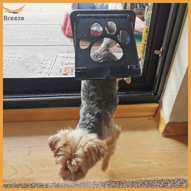 Cửa Lật In Dấu Chân Chó Mèo Dễ Lắp Đặt Chống Cắn Trang Trí Nội Thất