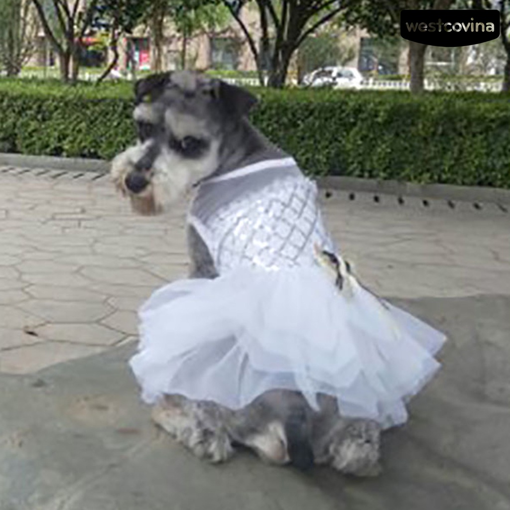 [COD]♞Đầm Không Phai Họa Tiết Chấm Bi Thắt Nơ Xinh Xắn Thoáng Khí Cho Cún Cưng