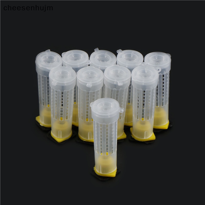 Set 10 Cốc Nuôi Ong Chúa Chuyên Dụng