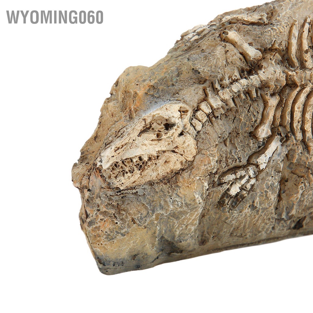 Wyoming060 Hồ Cá Khủng Long Hóa Thạch Trang Trí Bò Sát Nhựa Đá Nơi Ẩn náu Cho Bể Cảnh