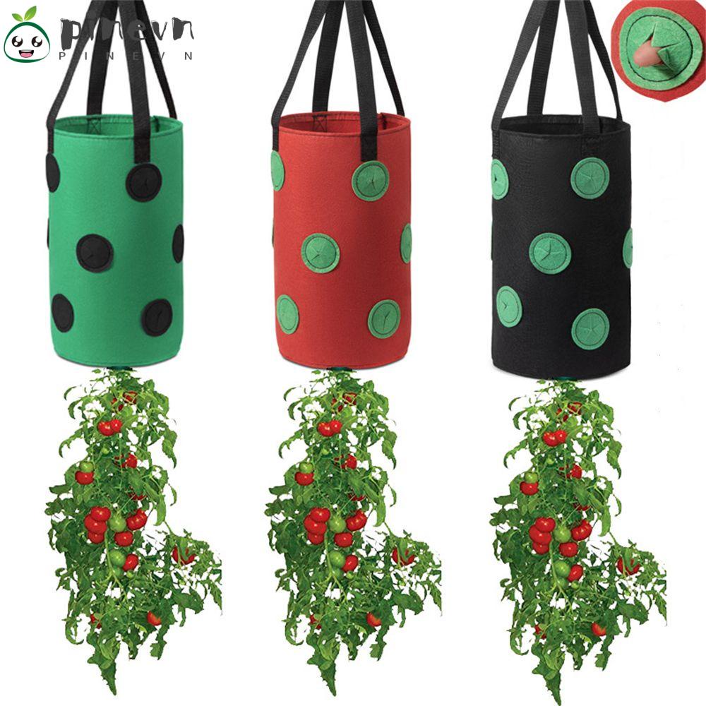 PINEVN Chậu Trồng Dâu 13 Lỗ Thoáng Khí Treo Tường