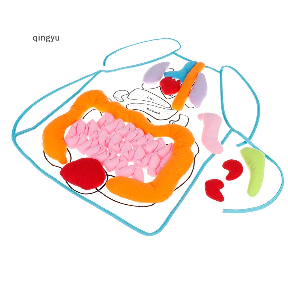 Qingyu Tạp Dề Giải Phẫu Cơ Thể Người Cho Bé