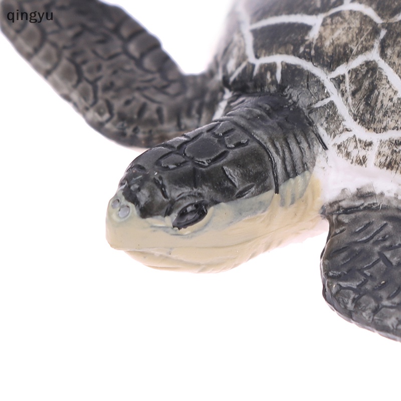 Mô Hình Rùa Biển Trang Trí Xinh Xắn