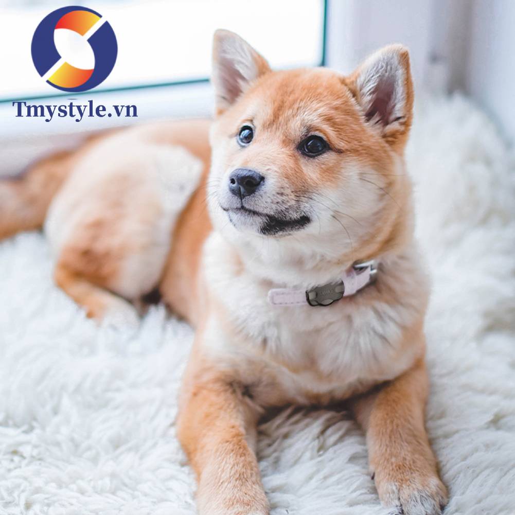 Hộp Đựng Theo Dõi Thú Cưng Chống Thất Lạc Chống Bụi Tiện Dụng