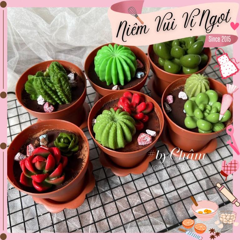 Ly Chậu Hoa Đựng Bánh Tiramisu  - Set 20 Ly Kèm Xẻng & Nắp